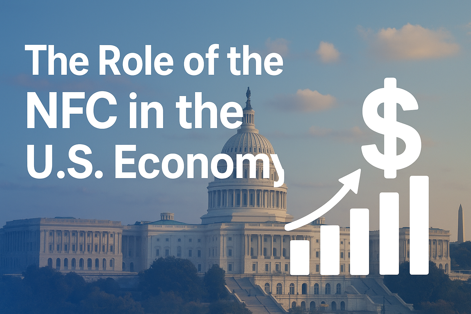 What is the National Finance Commission (NFC)?